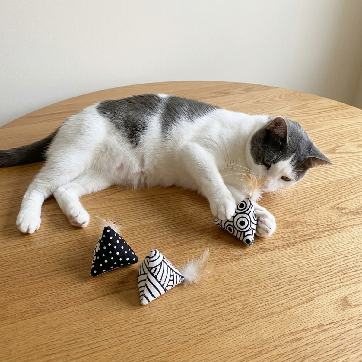 HÖVAAN Blind Box Cat Toy, cat playing on a table