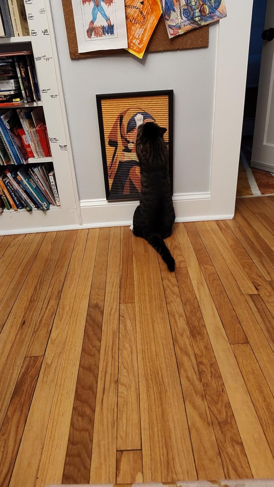 Cat Scratcher Art Decor product details and specifications