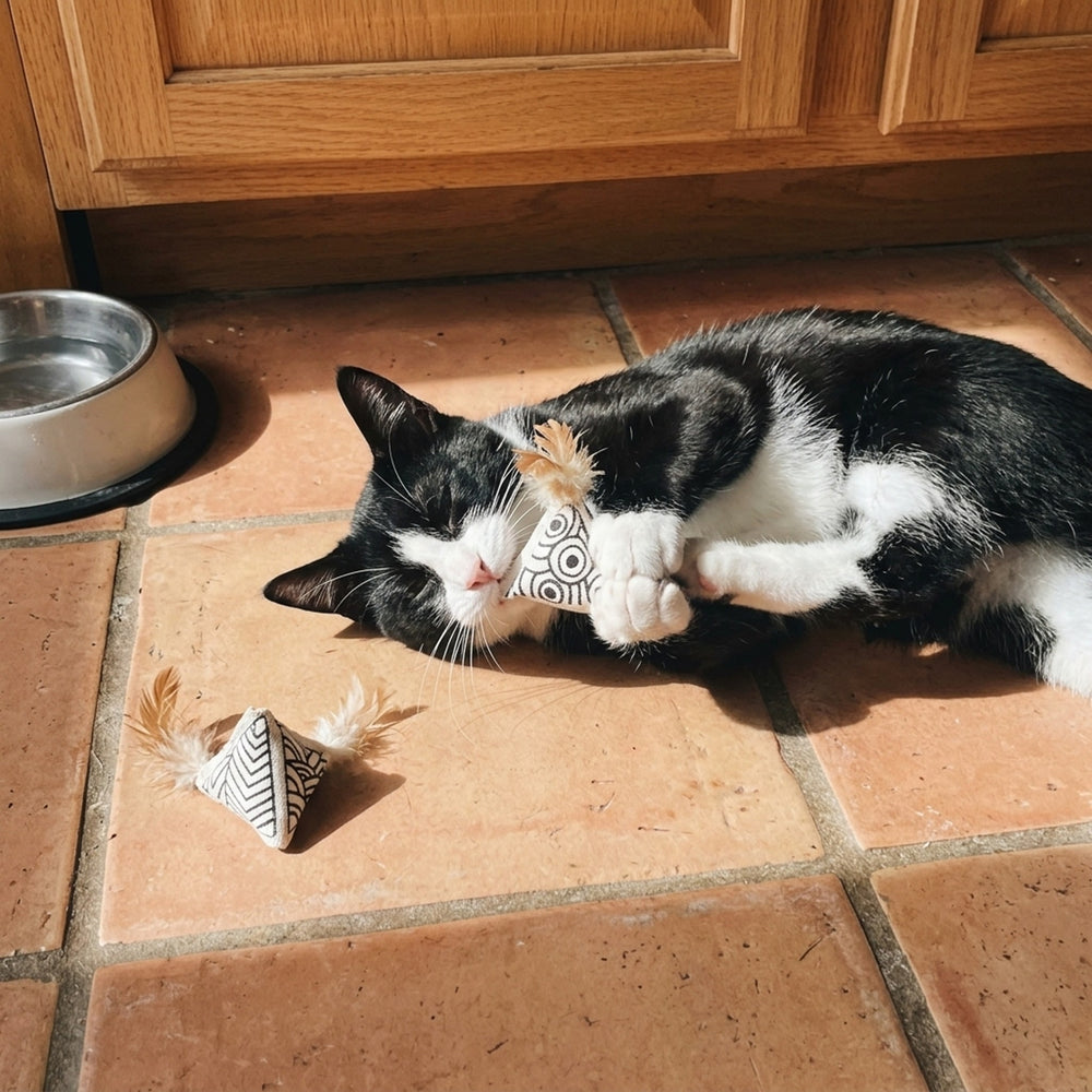 HÖVAAN Blind Box Cat Toy, cat in the kitchen