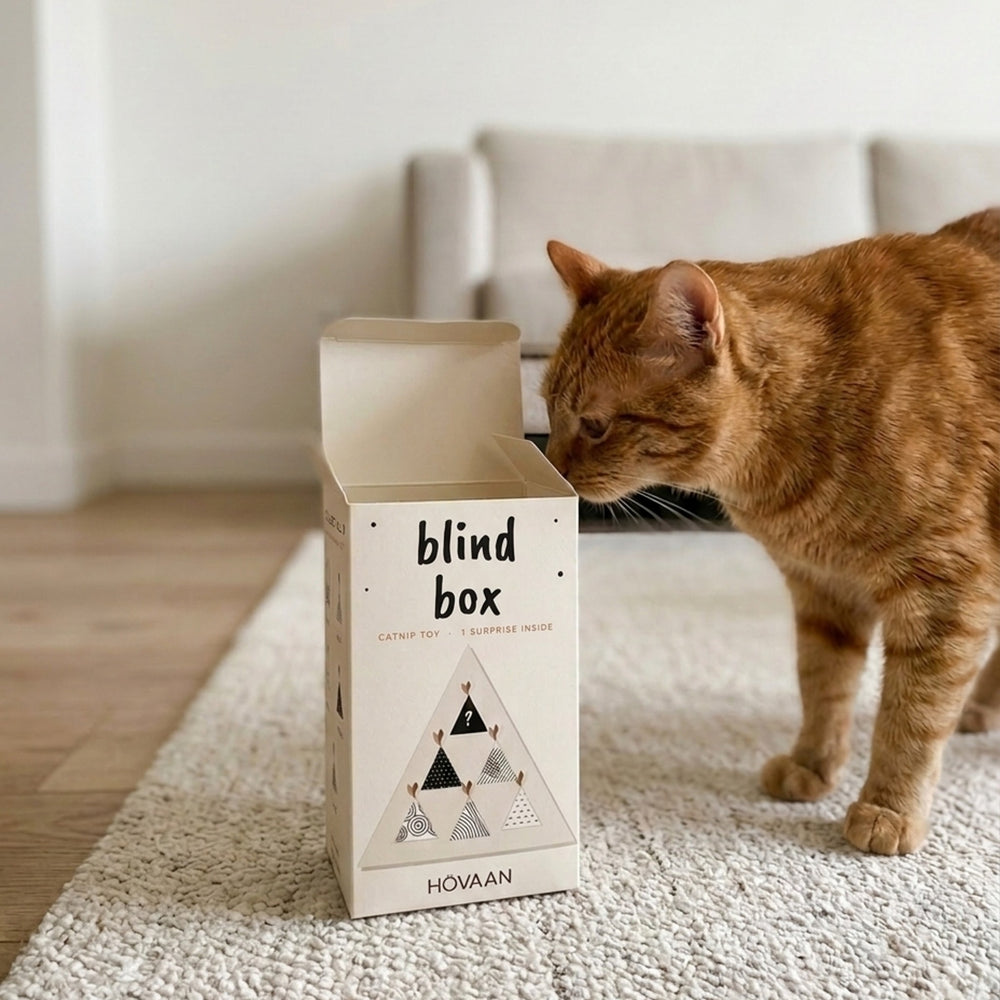 HÖVAAN Blind Box Cat Toy, cat sniffing the open box