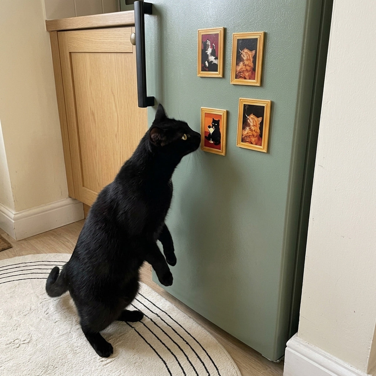Black cat sniffing a cat fridge magnet