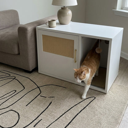 Hideaway Litter Box as an end table, cat stepping out