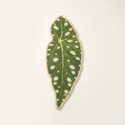 Leaf Sisal Scratcher [Botanical Edition], Trout Begonia