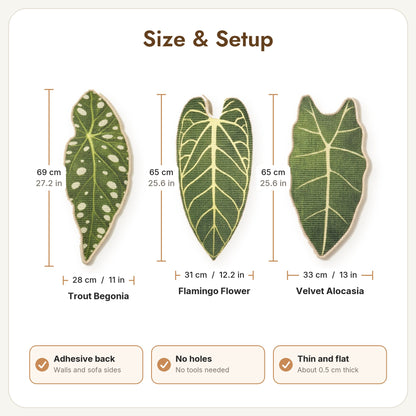 Botanical Leaf scratchers sizes: Trout Begonia 69 x 28 cm, Flamingo Flower 65 x 31 cm, Velvet Alocasia 65 x 33 cm
