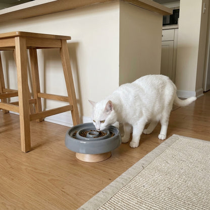 Elevated Ceramic Slow Feeder Cat Bowl, breakfast bar white cat