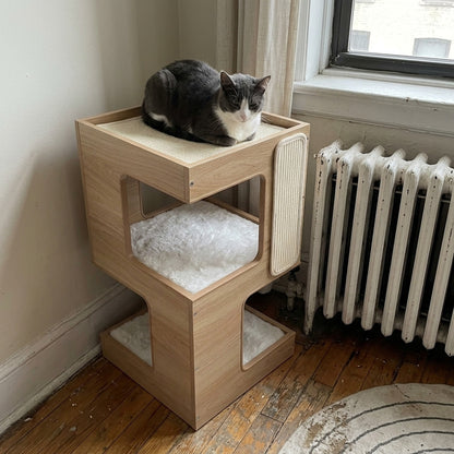 Two-Story Cat Condo, radiator tuxedo