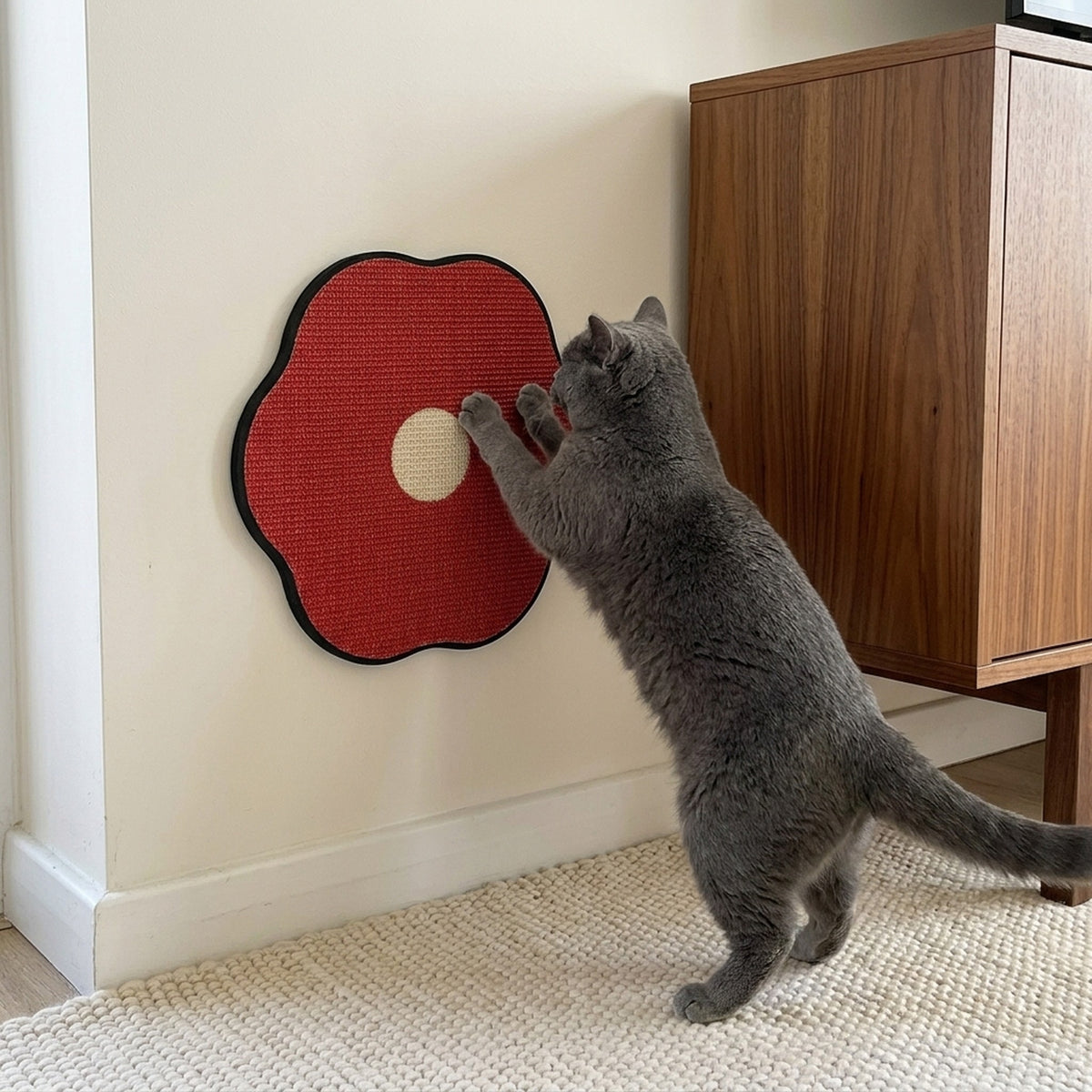 Flower & Egg Wall Scratcher with a cat at home