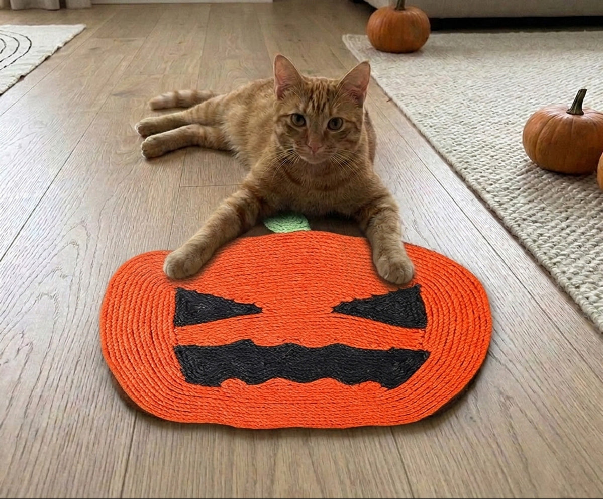Sisal Scratcher [Halloween Edition] with a cat at home