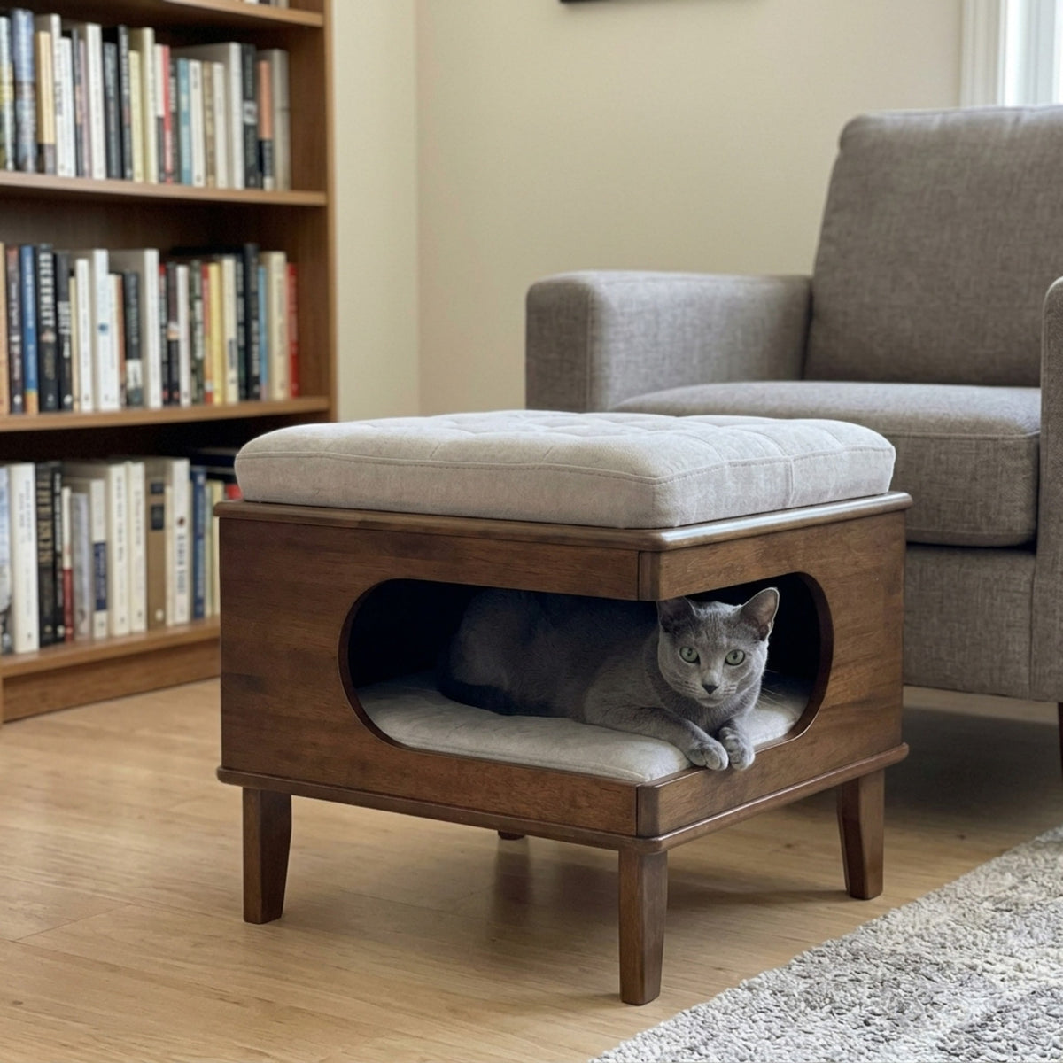 Letitia Ottoman Cat Bed, reading corner russian blue