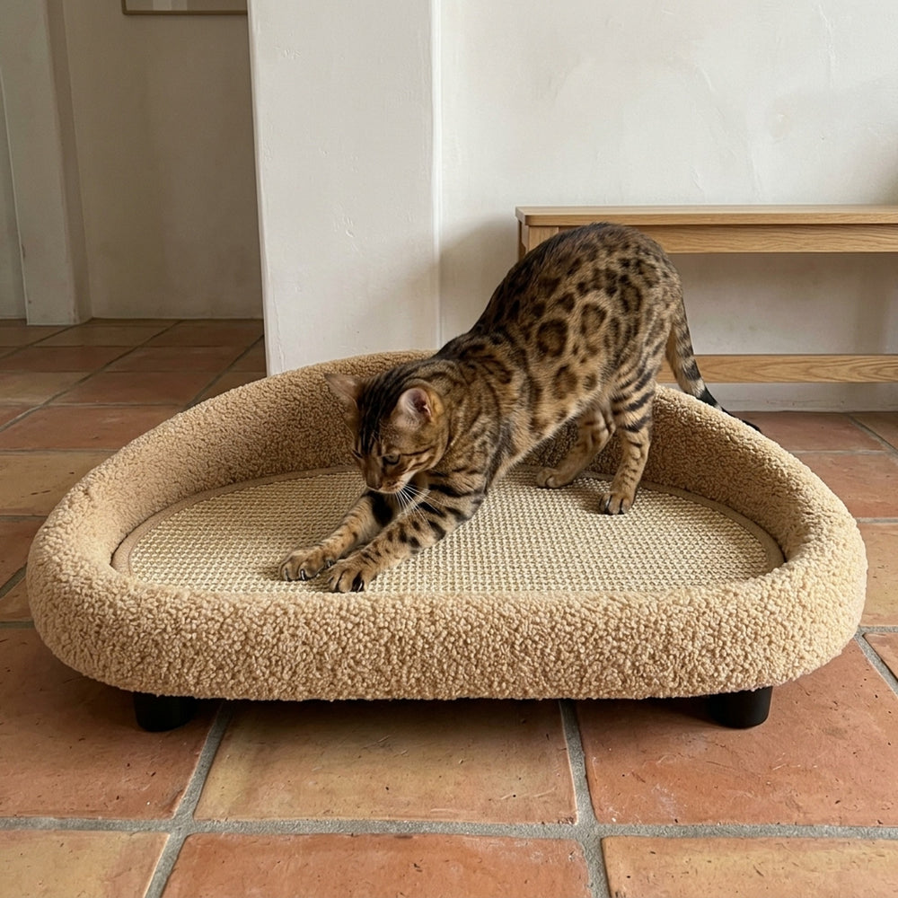 Cloud Lounger Cat Bed, scratch bengal