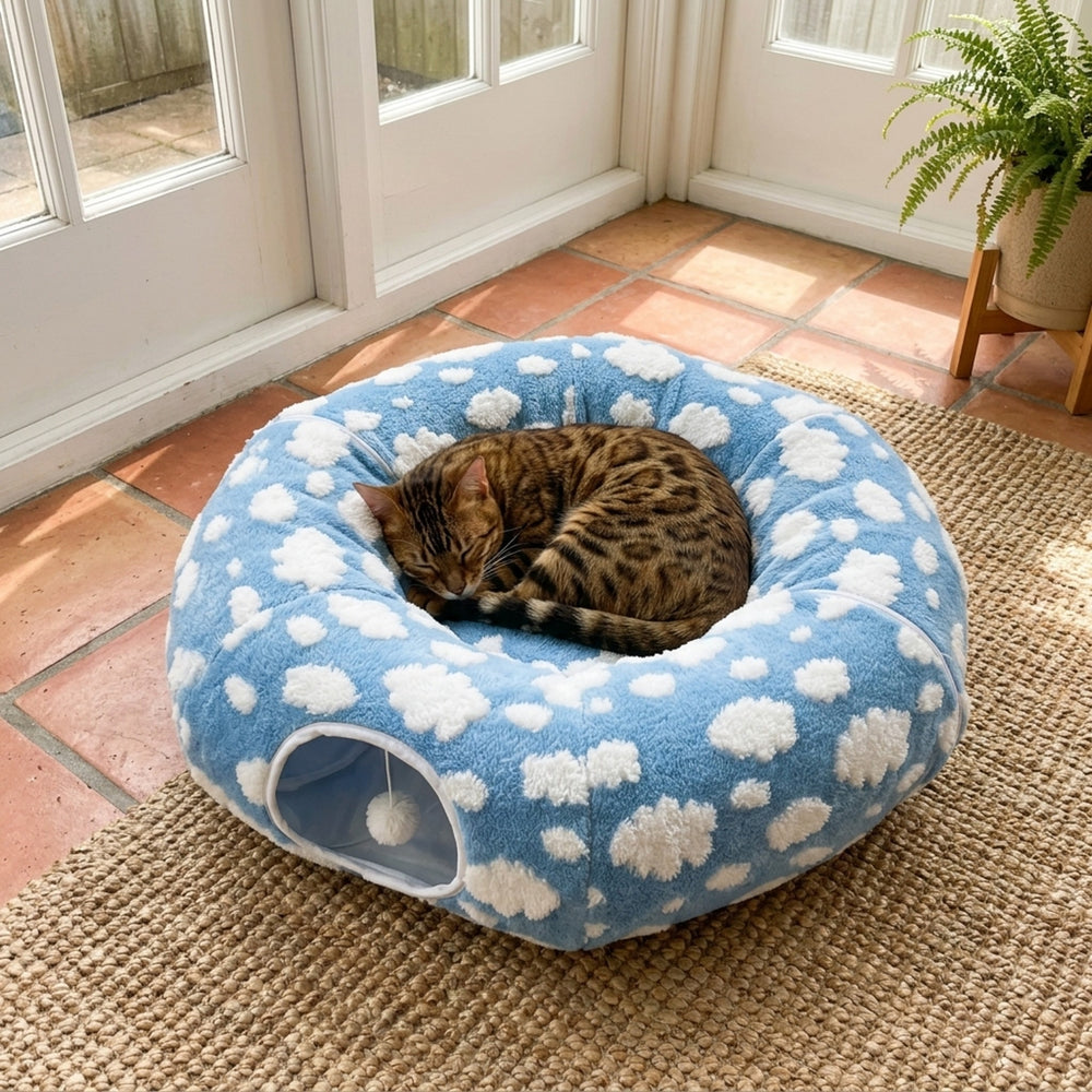 Donut Tunnel Cat Bed, sunroom bengal