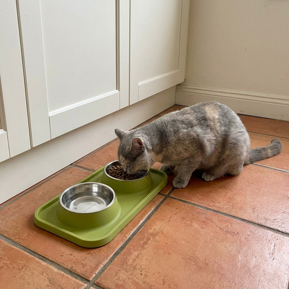 Double Cat Bowl Set, matcha kitchen