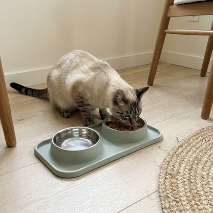 Double Cat Bowl Set, sage dining nook