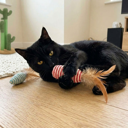 7-Piece Cat Toy Set, black cat hug