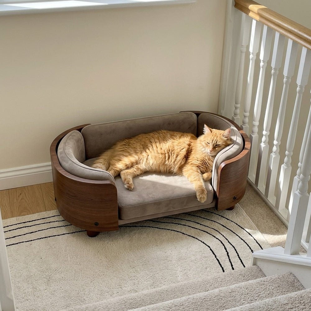 Wren Vintage Cat Sofa, landing ginger