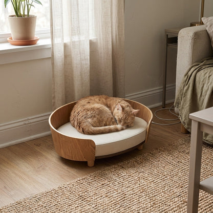 Oak Cat Sofa Bed, living room